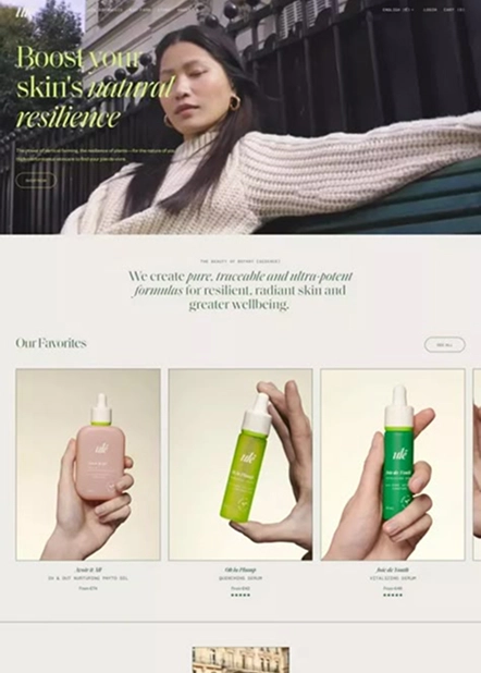 Ecommerce template 3